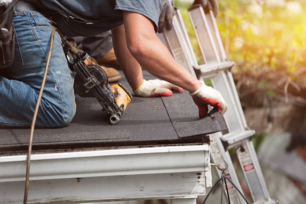 Best Gutter Installation and Roofing  in Columbus, WI
